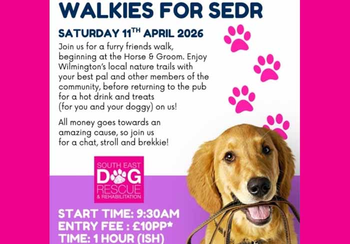 Dog Friendly Kent Weekend Guide 18 April 2026 19 April 2026