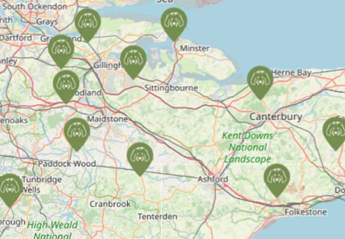 Dog Fields Kent