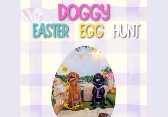 Dog Friendly Kent Weekend Guide 03 April 2026 06 April 2026